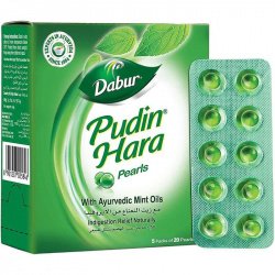 Pudin Hara